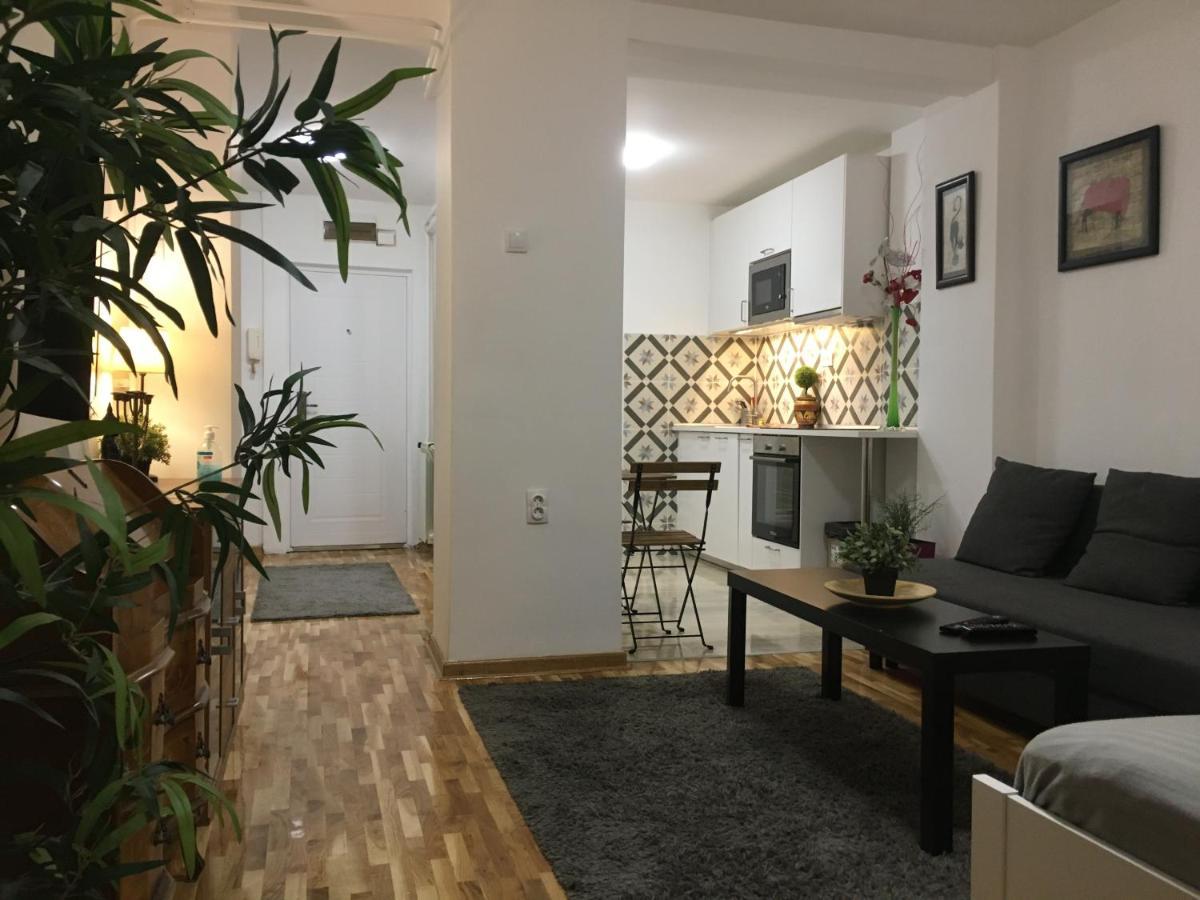 Axis Mundi Apartment Belgrade Luaran gambar